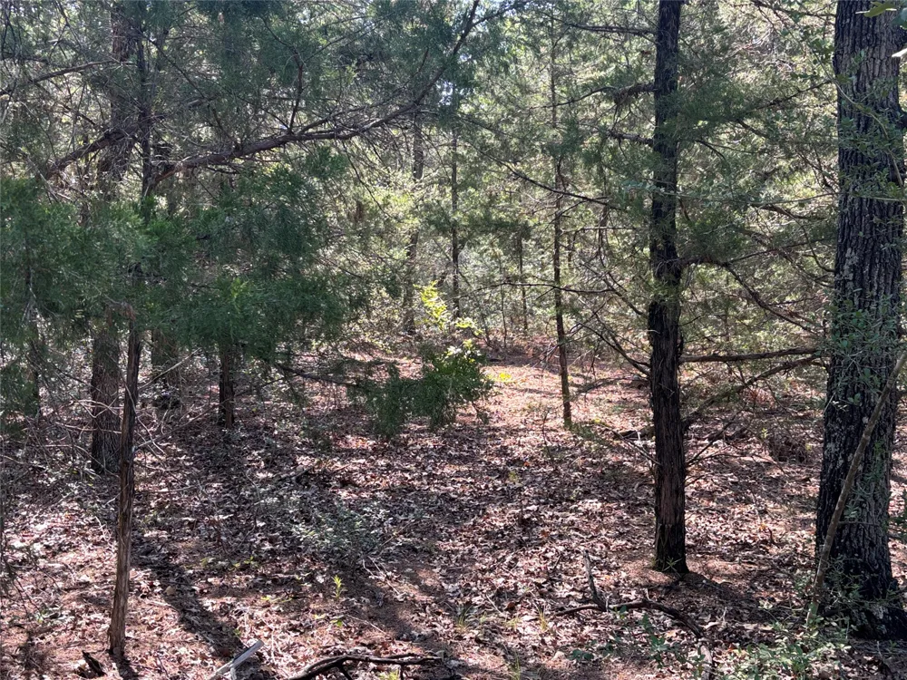 667 Paint Creek South Road Paige, TX 78659