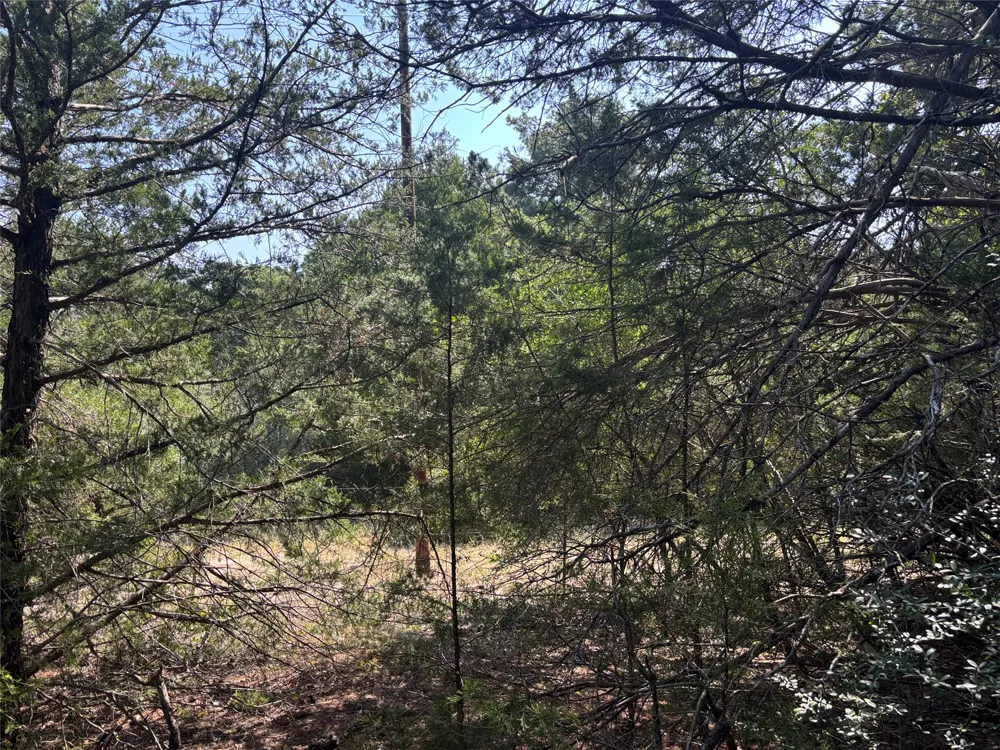 667 Paint Creek South Road Paige, TX 78659
