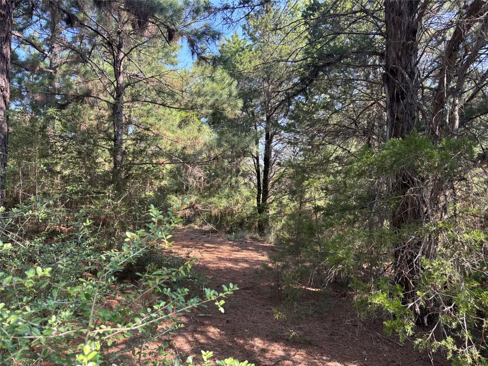 667 Paint Creek South Road Paige, TX 78659