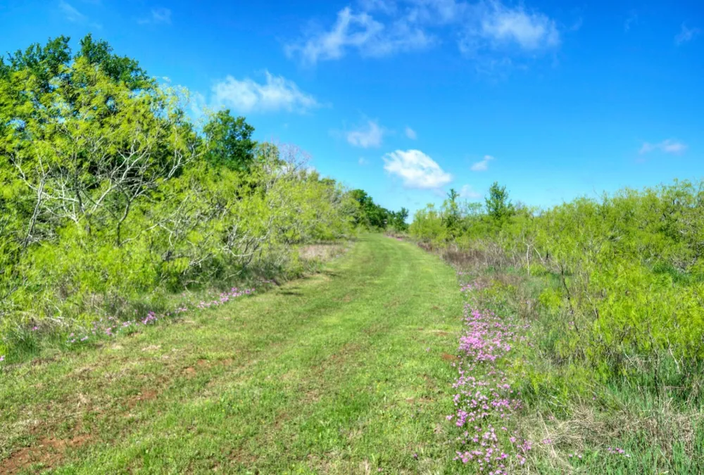 4201 County Road 463 Elgin, TX 78621