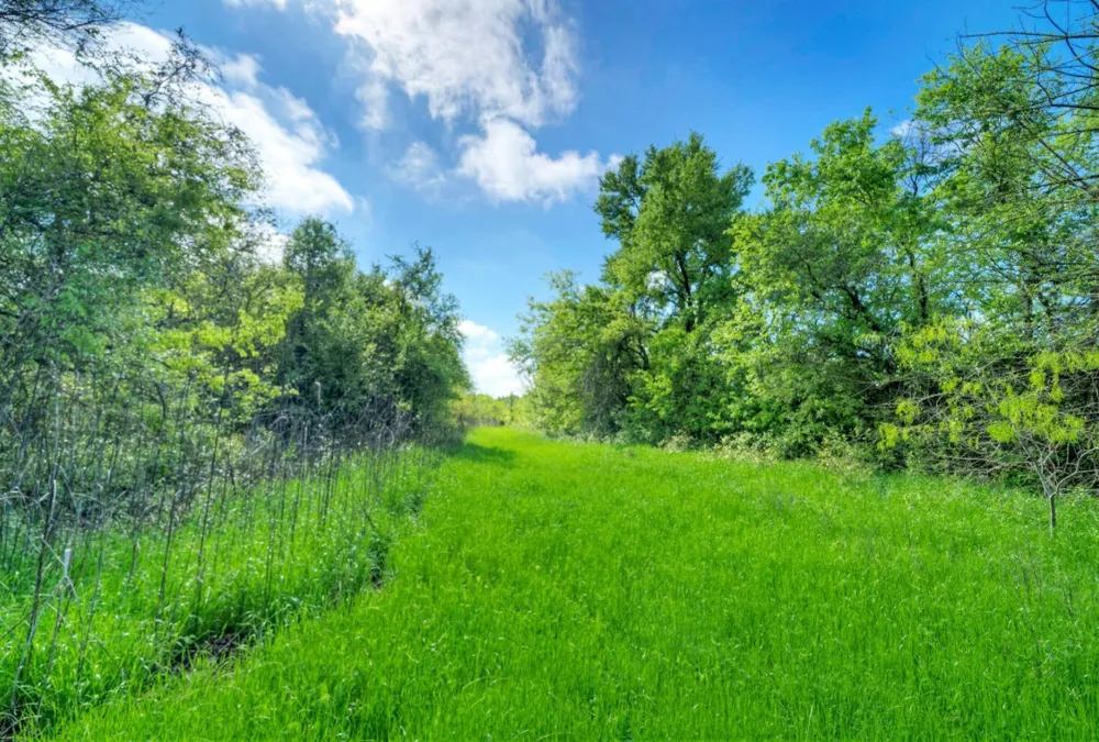 4201 County Road 463 Elgin, TX 78621