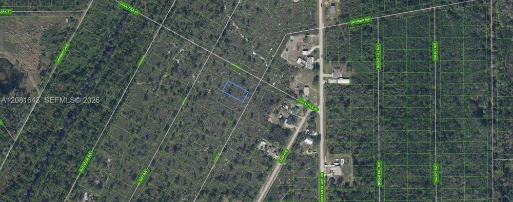 1454 Jayhawk Ave Lake Placid, FL 33852