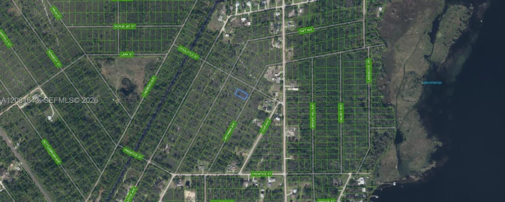 1454 Jayhawk Ave Lake Placid, FL 33852