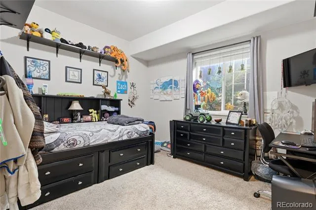 1183 Brocade Drive Highlands Ranch, CO 80126