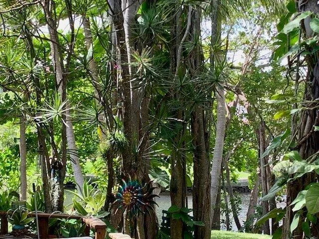 1901 ANDREWS AVENUE #111 Wilton Manors, FL 33311