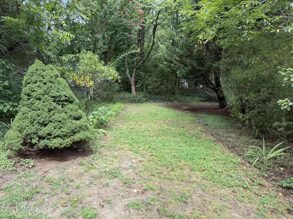 4 Peach Tree Street Jackson, NJ 08527