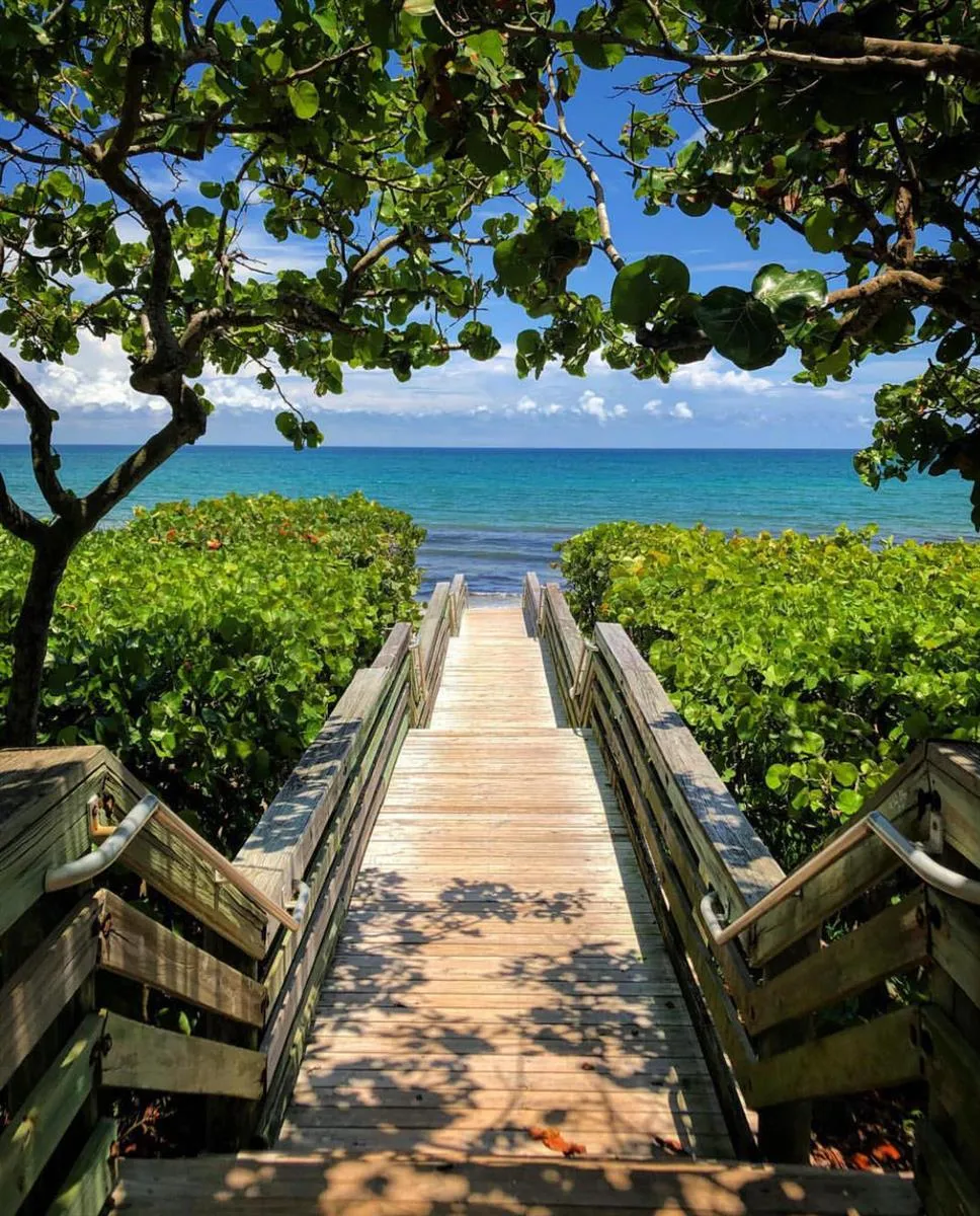 34 Colonial Club Drive #202 Boynton Beach, FL 33435