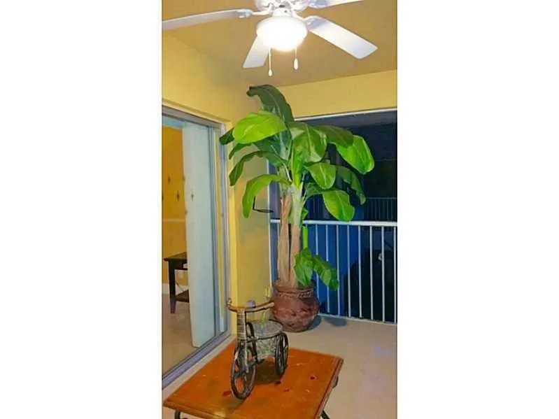 760 SE 2nd Avenue Deerfield Beach, FL 33441