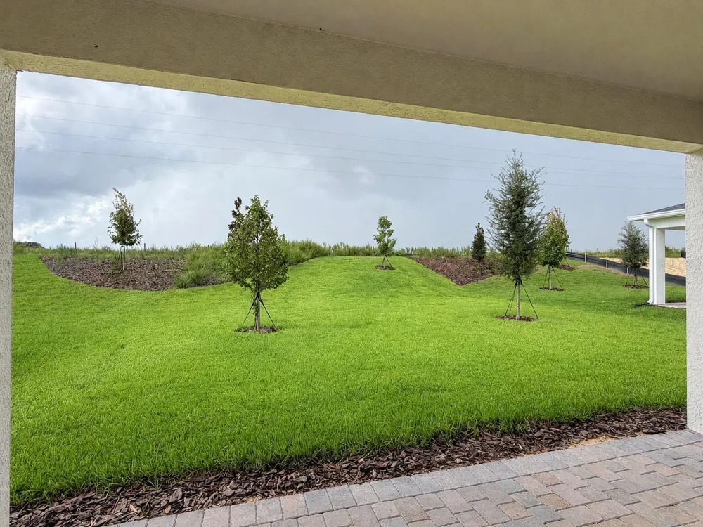 6722 HAVENLEAF AVENUE Winter Garden, FL 34787
