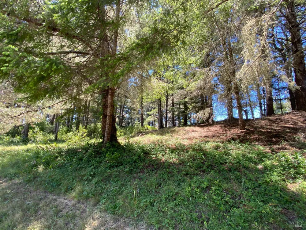 36734 Timber Ridge Road The Sea Ranch, CA 95497