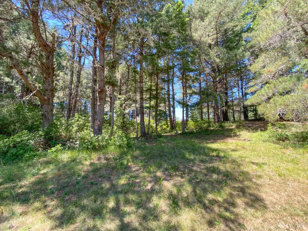 36734 Timber Ridge Road The Sea Ranch, CA 95497