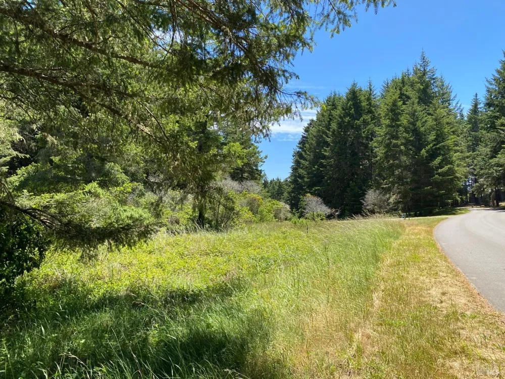 36734 Timber Ridge Road The Sea Ranch, CA 95497
