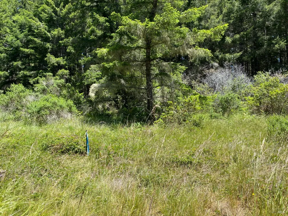 36734 Timber Ridge Road The Sea Ranch, CA 95497