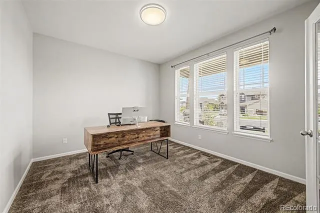 1115 Lucky Court Castle Rock, CO 80109