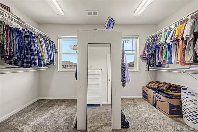 1115 Lucky Court Castle Rock, CO 80109