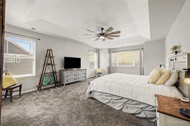 1115 Lucky Court Castle Rock, CO 80109