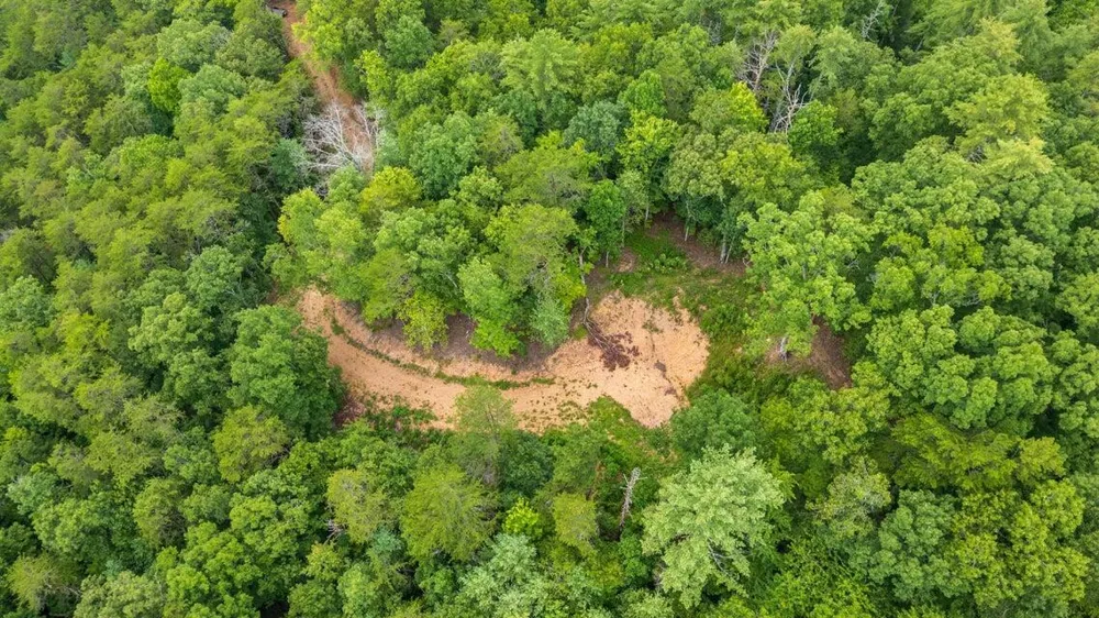 118 Price Road Reliance, TN 37369