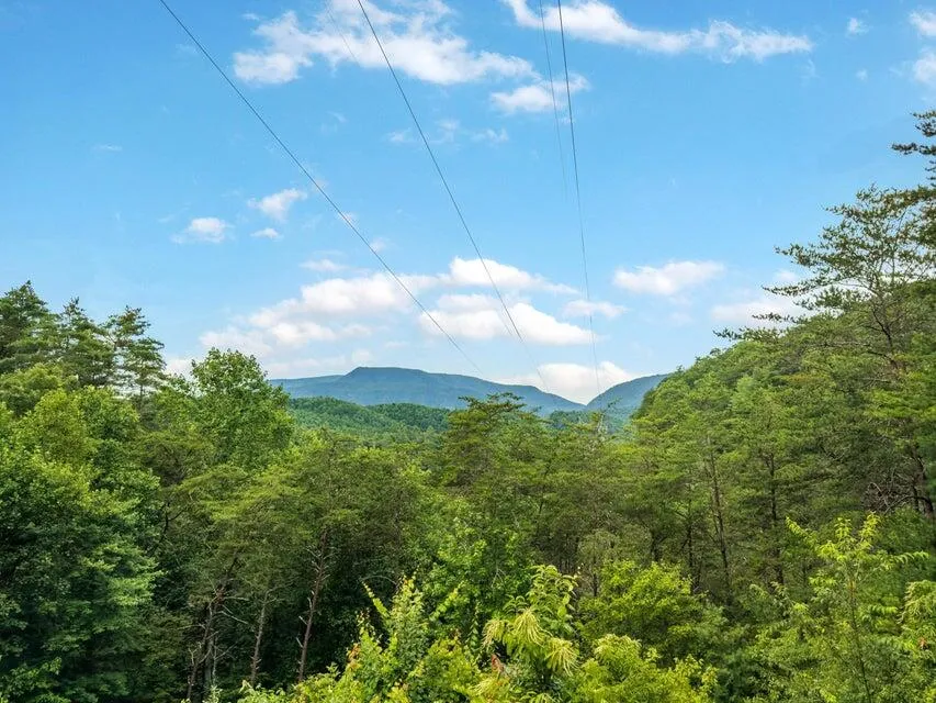 118 Price Road Reliance, TN 37369