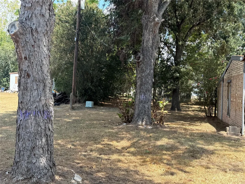 2410 Holly Street Waller, TX 77484