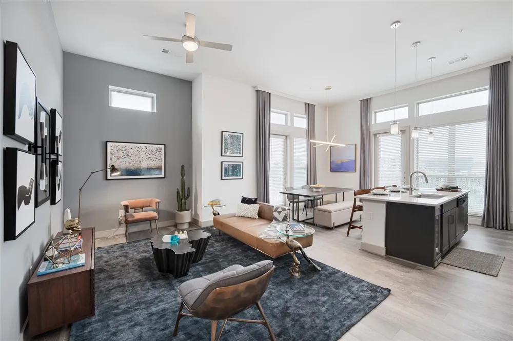 160 Birdsall Street #1117 Houston, TX 77007
