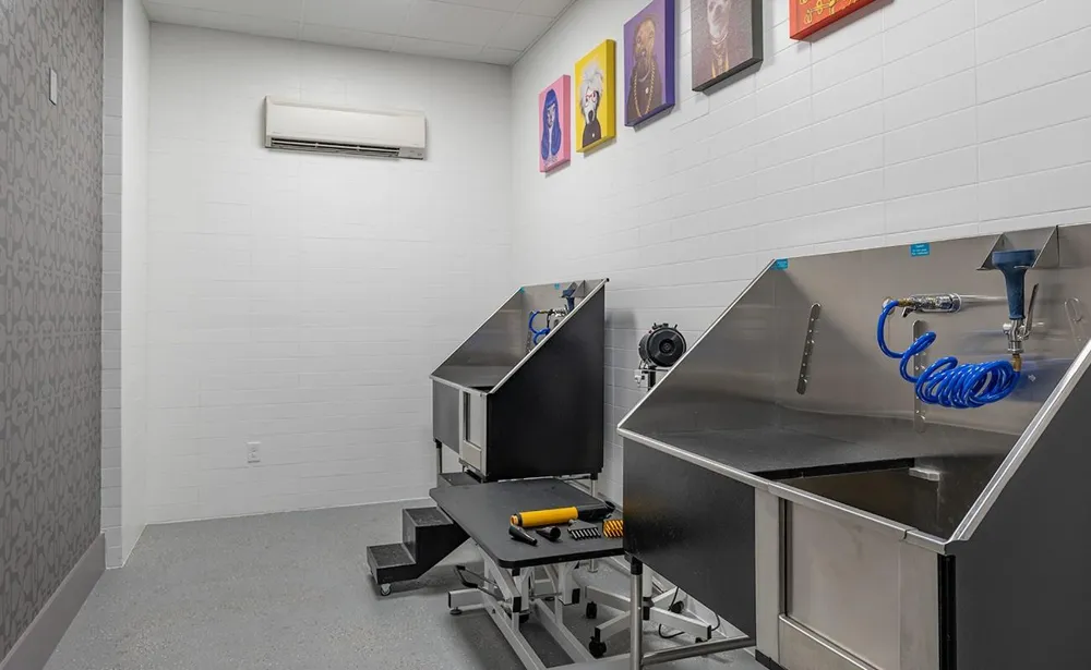 160 Birdsall Street #1117 Houston, TX 77007