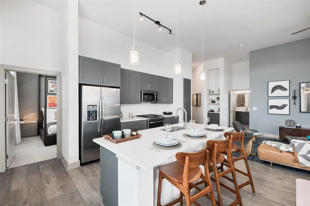 160 Birdsall Street #1117 Houston, TX 77007