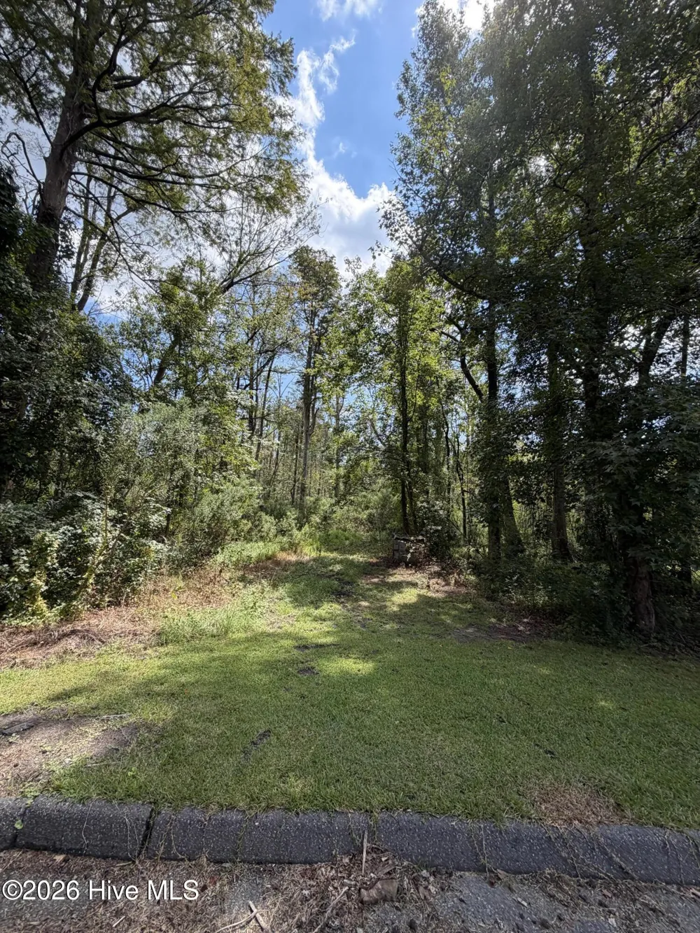 25852 Us-264 Highway E Pantego, NC 27860
