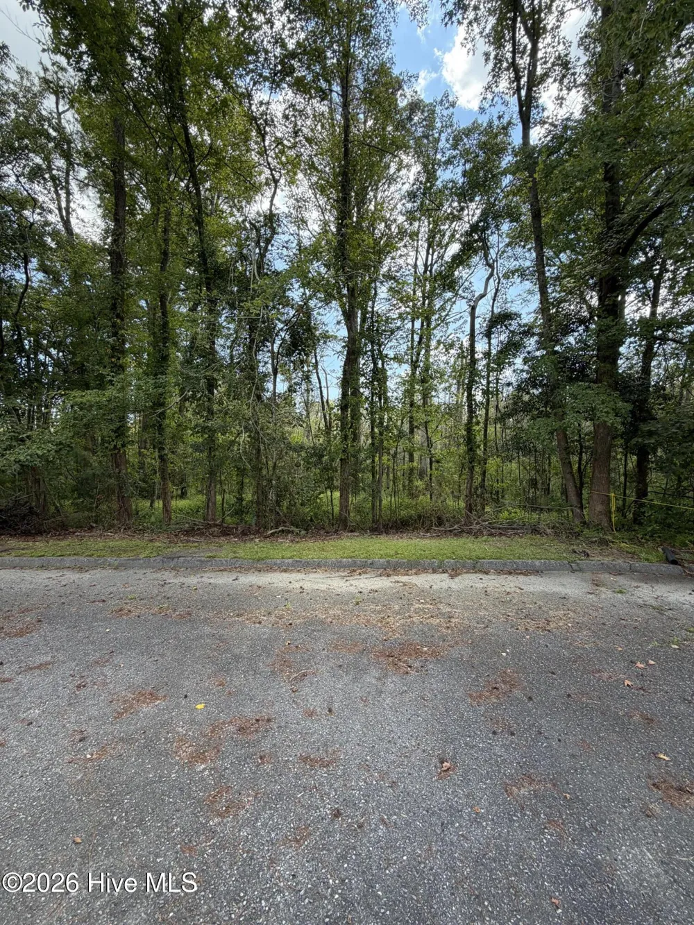 25852 Us-264 Highway E Pantego, NC 27860