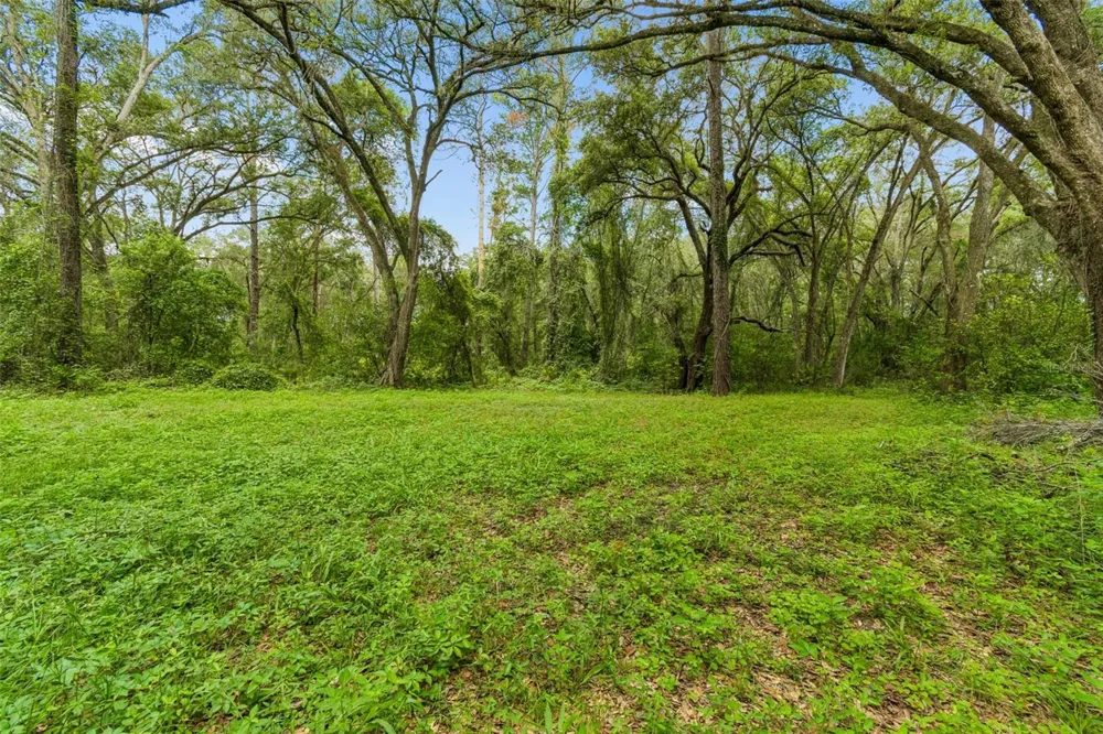 21835 VALHALLA WAY Dade City, FL 33523