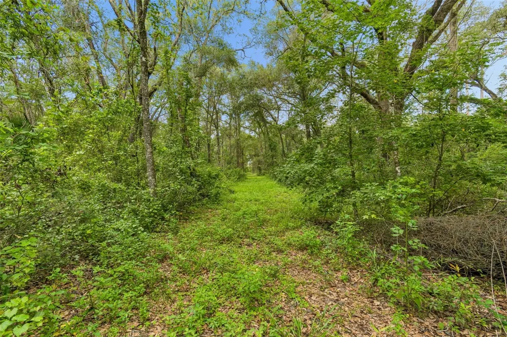 21835 VALHALLA WAY Dade City, FL 33523