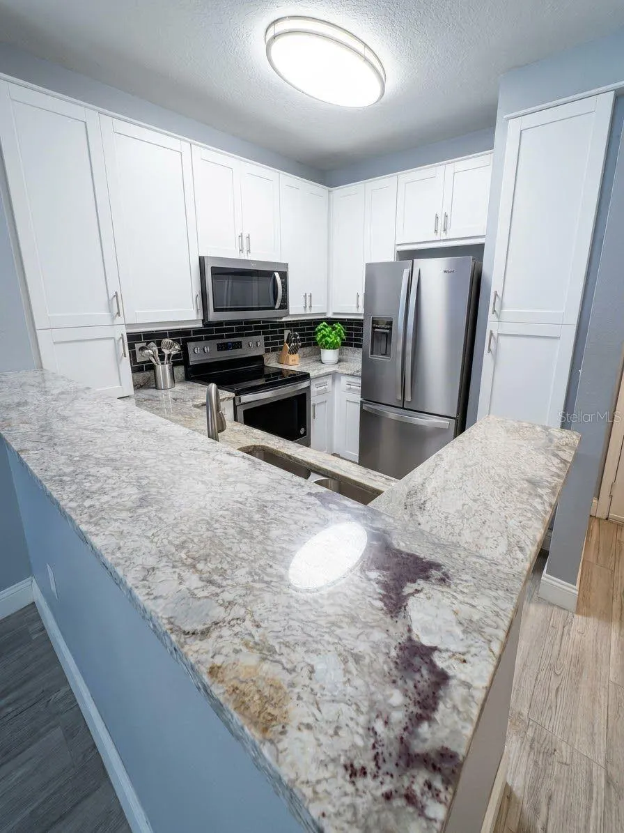 1810 E PALM AVENUE #5208 Tampa, FL 33605
