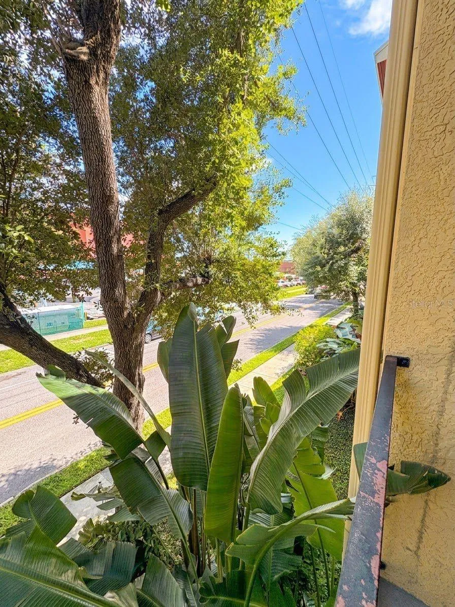 1810 E PALM AVENUE #5208 Tampa, FL 33605