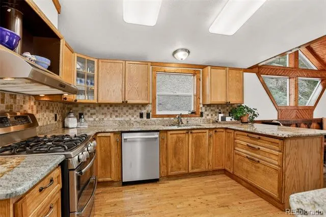 16070 S Elk Creek Road Pine, CO 80470