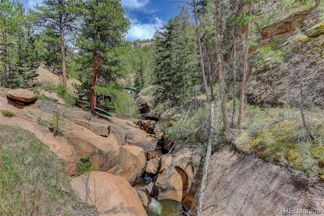 16070 S Elk Creek Road Pine, CO 80470