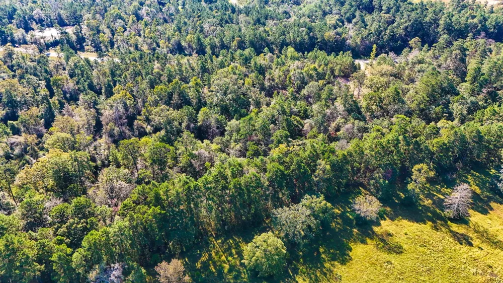 15821 Ridge Rock Road Willis, TX 77378