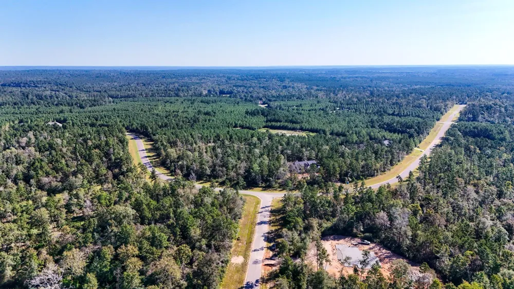 15821 Ridge Rock Road Willis, TX 77378