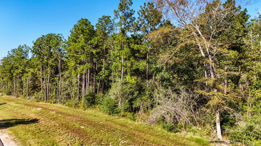 15821 Ridge Rock Road Willis, TX 77378