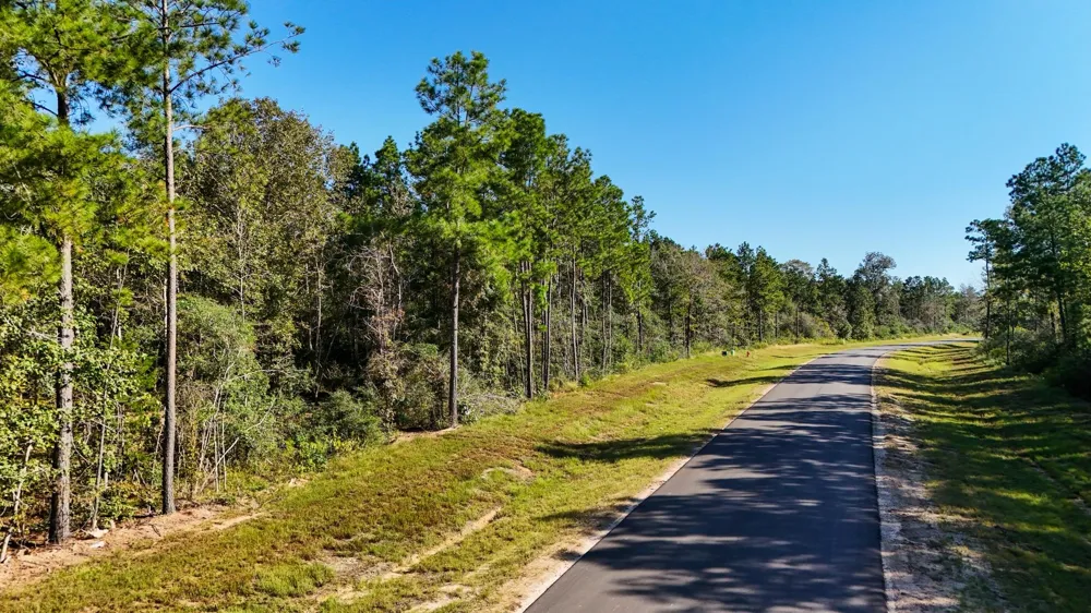15821 Ridge Rock Road Willis, TX 77378