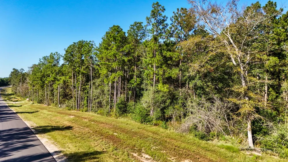 15821 Ridge Rock Road Willis, TX 77378