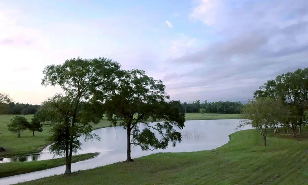 15821 Ridge Rock Road Willis, TX 77378