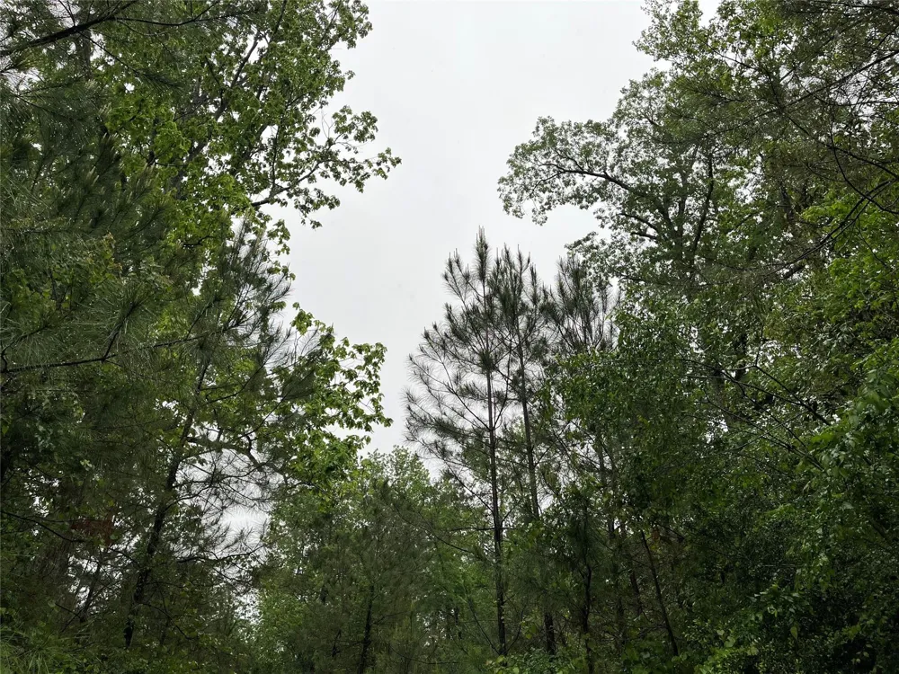 15821 Ridge Rock Road Willis, TX 77378