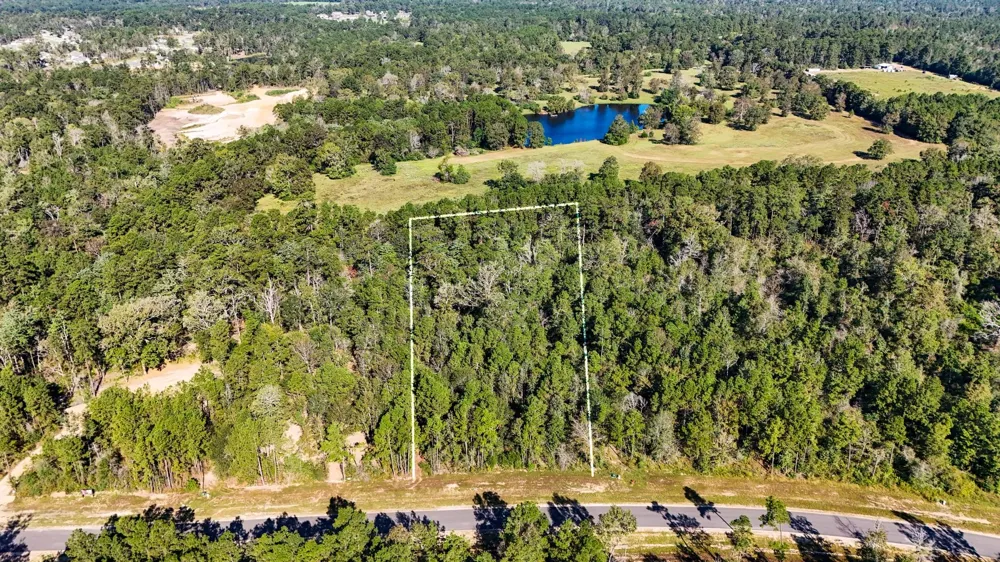 15821 Ridge Rock Road Willis, TX 77378