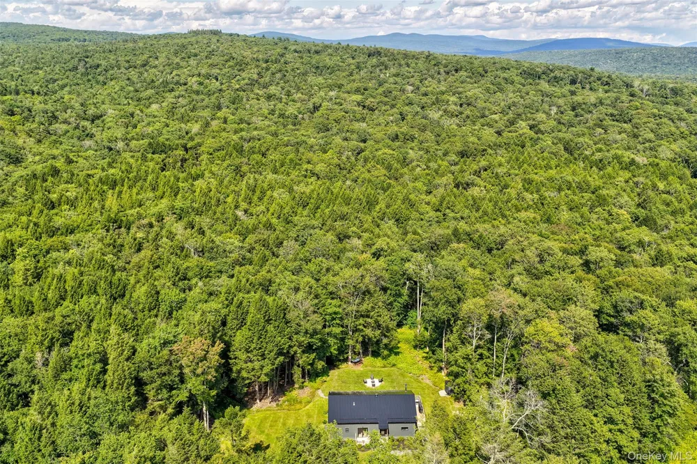 633 Brown Settlement Road Livingston Manor, NY 12758