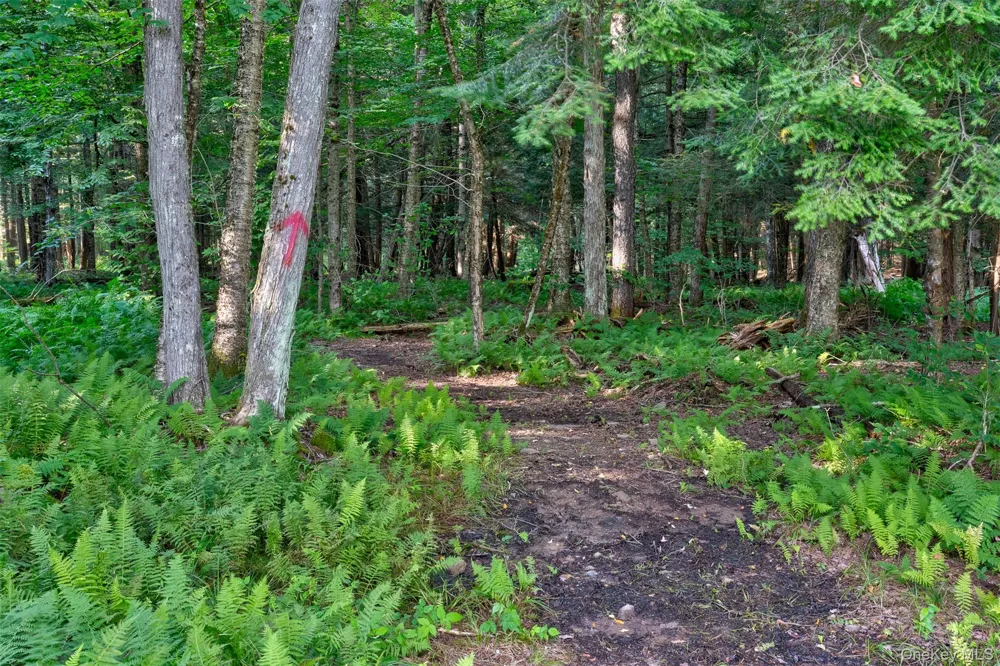 633 Brown Settlement Road Livingston Manor, NY 12758