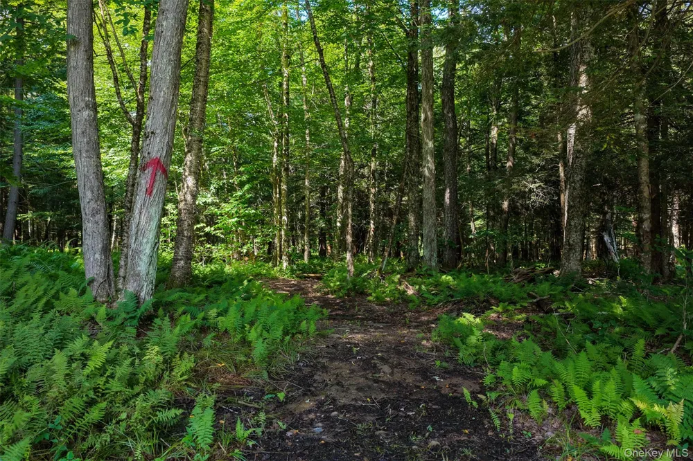 633 Brown Settlement Road Livingston Manor, NY 12758