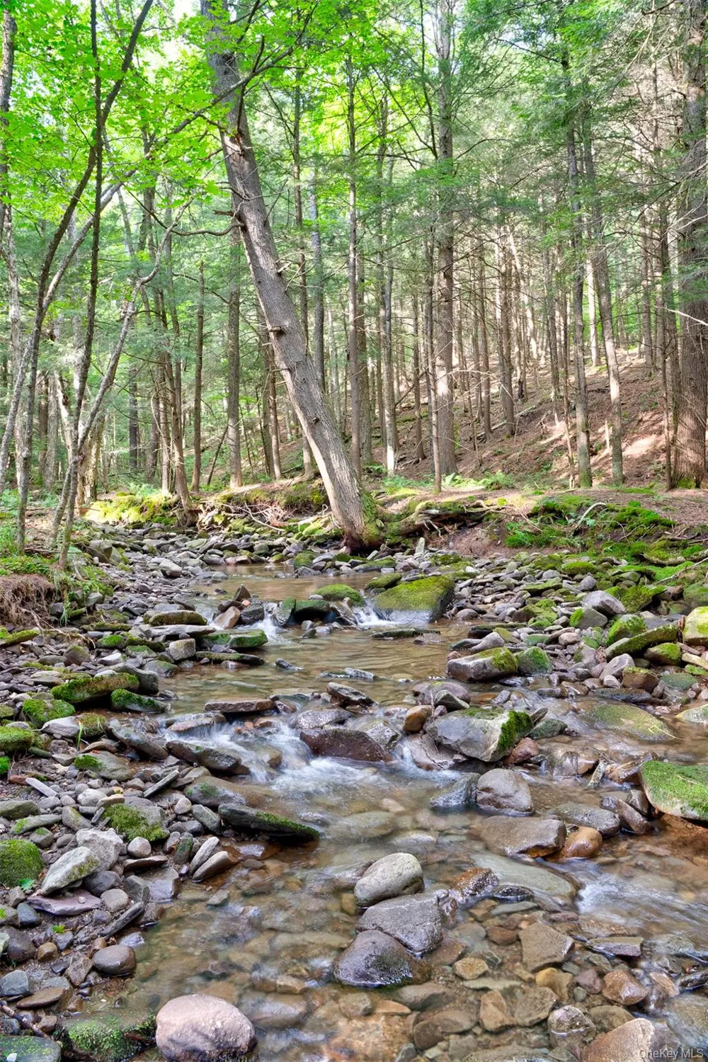 633 Brown Settlement Road Livingston Manor, NY 12758