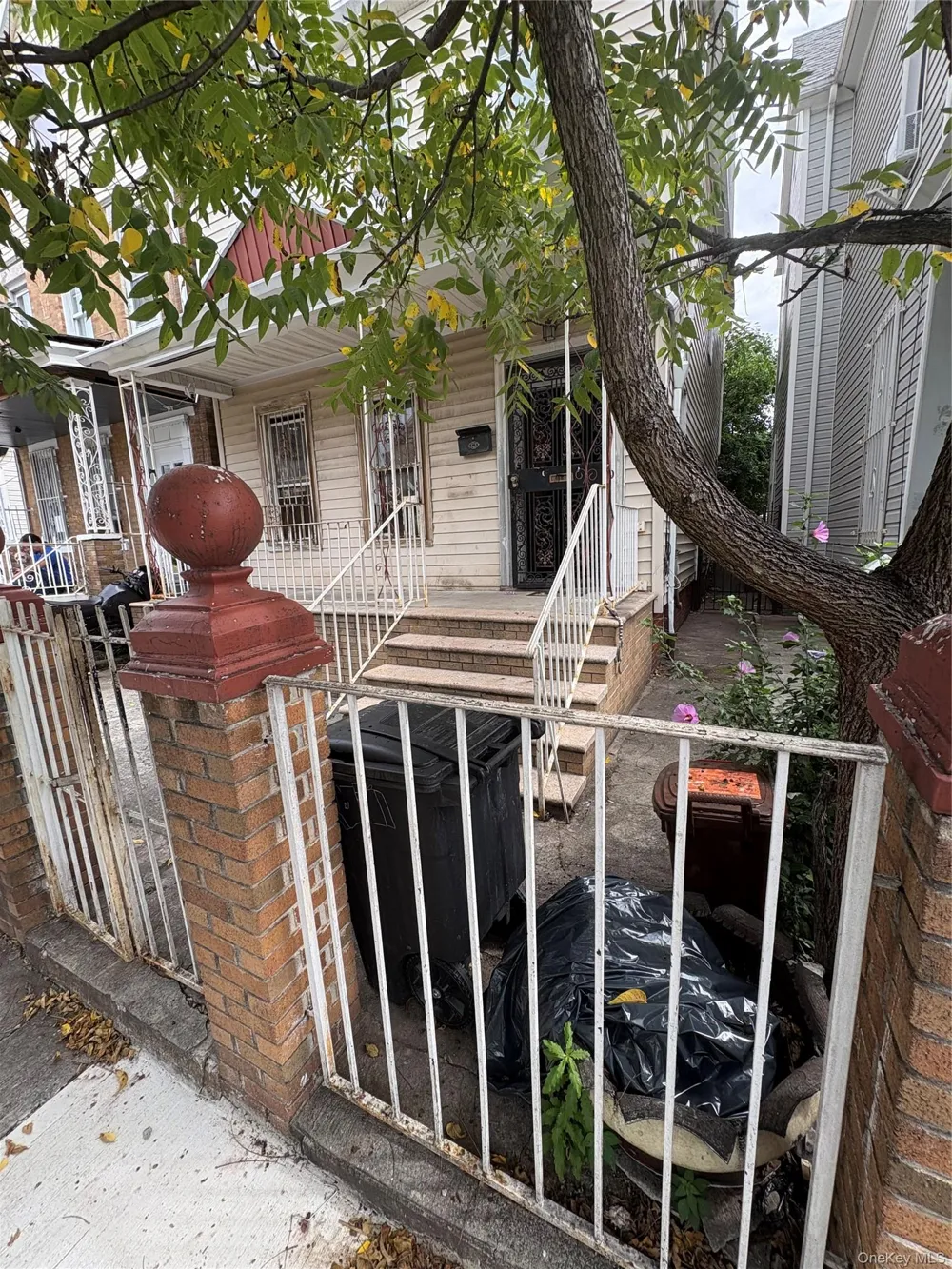 169 Warwick Street Brooklyn, NY 11207