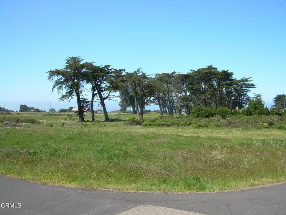 43575 Sea Cypress Drive Manchester, CA 95459