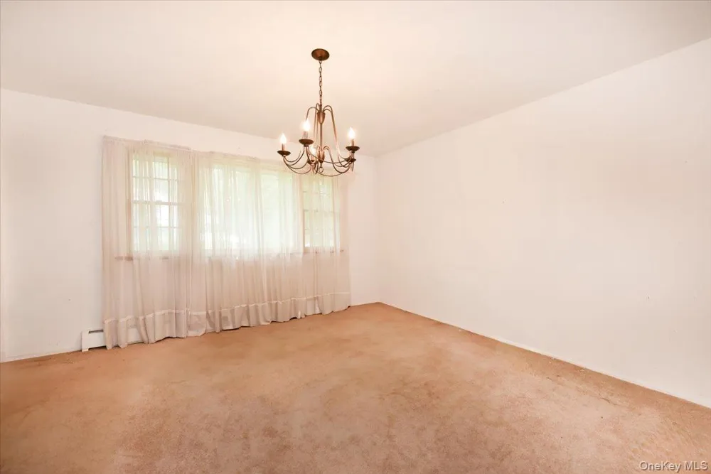 12 HUTCHINSON COURT Great Neck, NY 11023