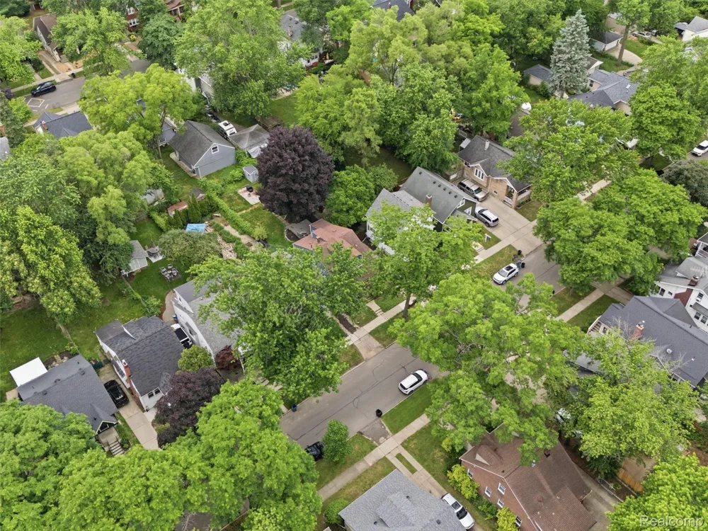 315 Leroy Street Ferndale City, MI 48220